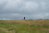 Alon Kaplun_website-24